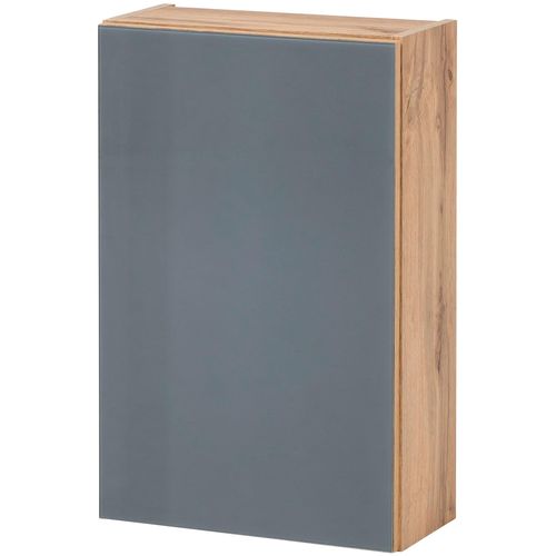 Hängeschrank WELLTIME "Horki" Schränke Gr. B/H/T: 40cm x 64cm x 20cm,, grau Bad-Hängeschrank 40 cm breit