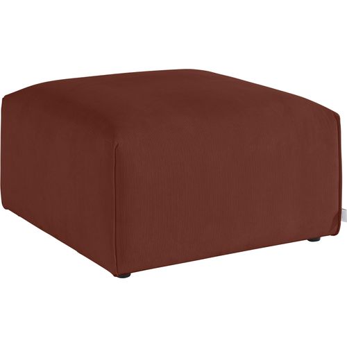 Hocker 