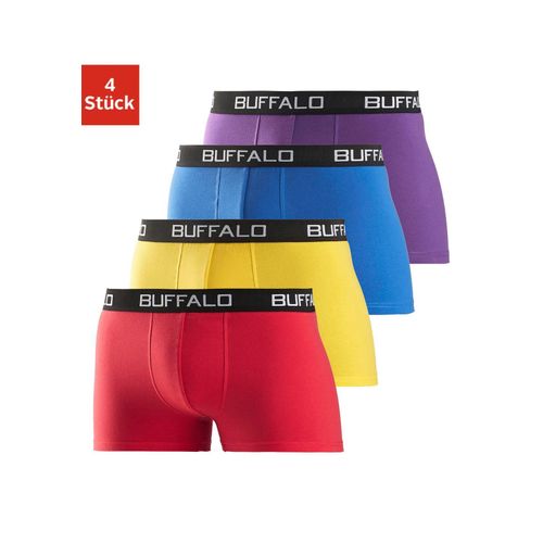 Boxer BUFFALO 