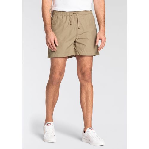 Chinoshorts LEVI'S Gr. L, N-Gr, braun (true chino) Herren Hosen CHINO EASY SHORT III