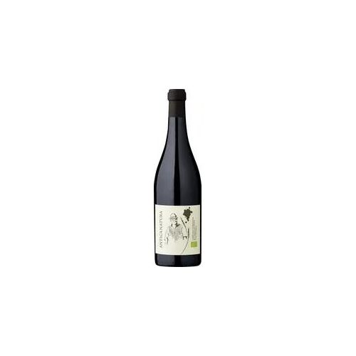 Zanasi Antica Natura Lambrusco – Bio