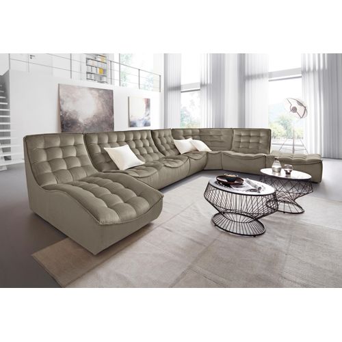 Sessel CALIA ITALIA 