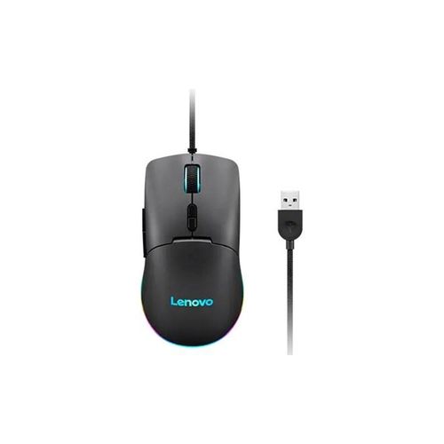 Lenovo M210 RGB - Maus (Grau)