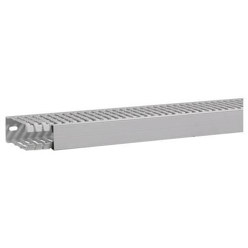 Hager HA7100040 Verdrahtungskanal (L x B x H) 2 m x 40 mm x 100 mm 2 m Grau