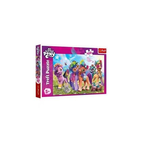 Puzzle 100 My little Pony