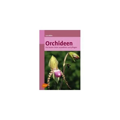 Orchideen