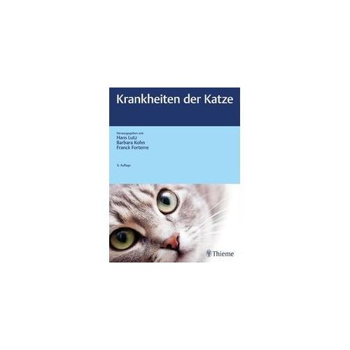 Krankheiten der Katze