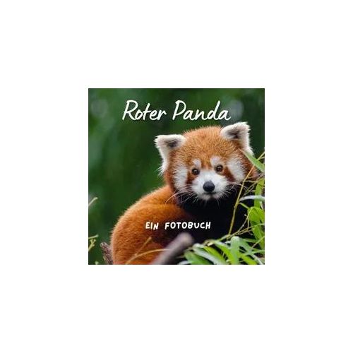 Roter Panda