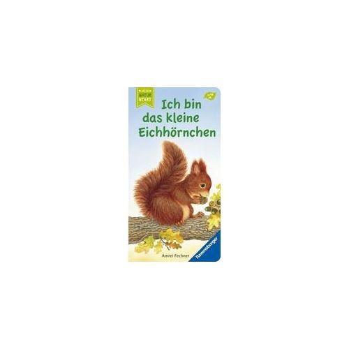 Ich bin das kleine Eichhörnchen