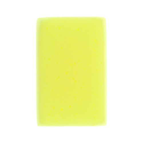 Carlinea Schwämme 011013