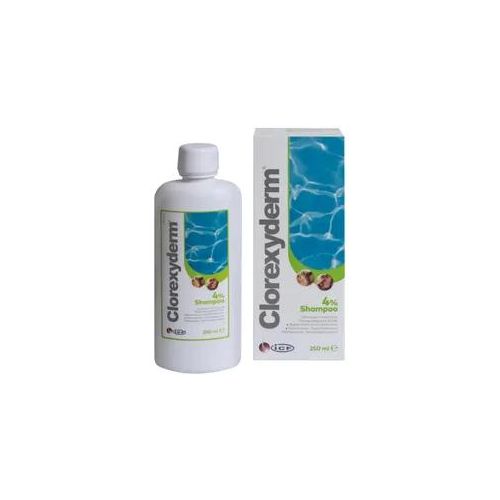 Livisto Clorexyderm Shampoo 4%