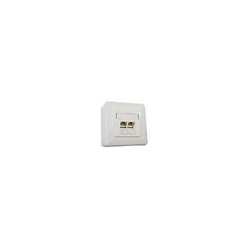 BTR IT CONNECT E-DAT C6 8/8(8) AP Cat.6 - Wanddose - CAT 6 - RJ-45 X 2 - Pure White, RAL 9010