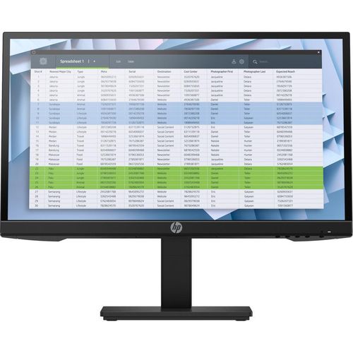 Bildschirm 21" LCD HP P22 G4