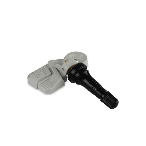SCHRADER Radsensor, Reifendruck-Kontrollsystem IVECO 3189 3189,5802331101