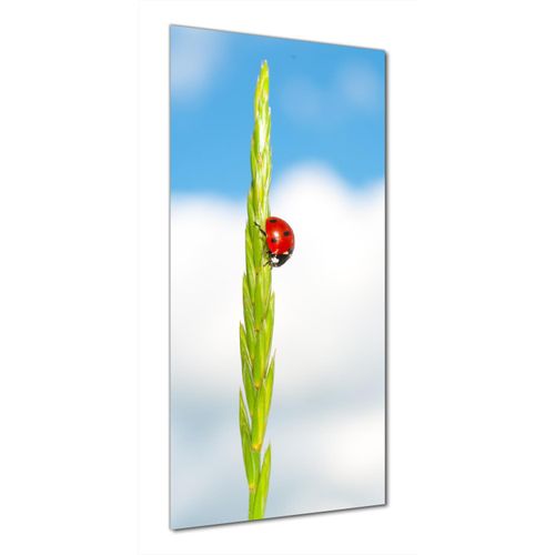 Wallario selbstklebende Duschrückwand 70 x 180 cm mit Motiv Marienkäfer am Korn - Wandverkleidung mit Hochglanzlaminat in Glasoptik