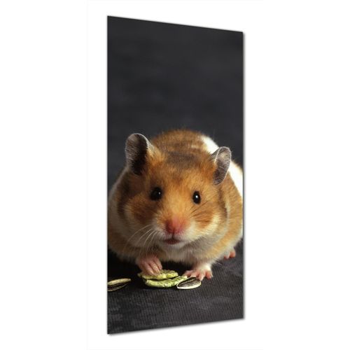 Wallario selbstklebende Duschrückwand 80 x 180 cm mit Motiv Putziger Hamster mit Nüssen zwischen den Pfoten - Wandverkleidung mit Hochglanzlaminat in Glasoptik