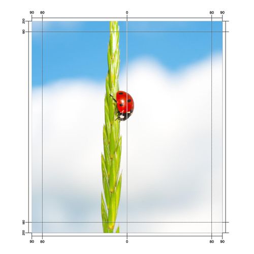 Wallario selbstklebende Duschrückwand 180 x 180 cm mit Motiv Marienkäfer am Korn - Wandverkleidung mit Hochglanzlaminat in Glasoptik