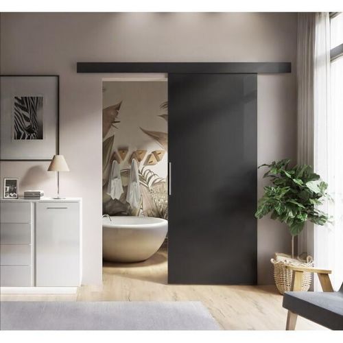 Schiebetür RICO Schwarz 76 cm Silbergriff