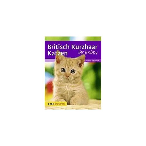 Britisch Kurzhaar Katzen