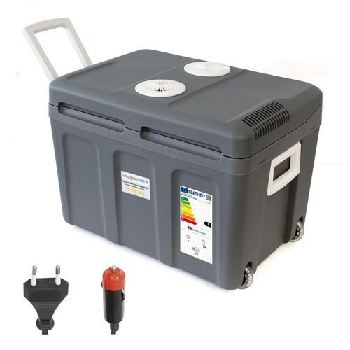 Dino KRAFTPAKET Thermoelektrische Kühlbox 131002