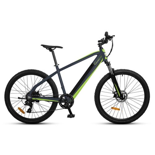 E-Mountainbike RR Crosstourer 36V 10Ah