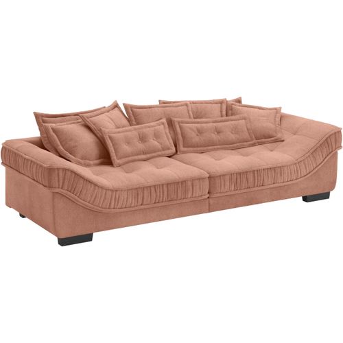 Big-Sofa INOSIGN "Diwan II DuraFlex" Sofas Gr. B/H/T: 300cm x 67cm x 121cm, Soft clean, braun (novaclean avanti 9 ginger) DuraFlex-Kaltschaumpolsterung, bis 140 kg, 4 Bezugsqualitäten