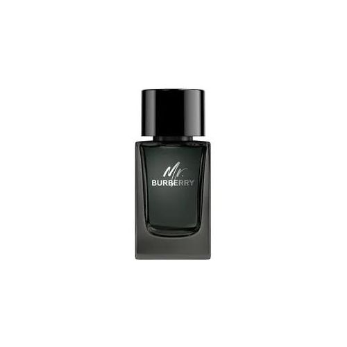 BURBERRY - Mr. Burberry Eau de Parfum 100 ml Herren