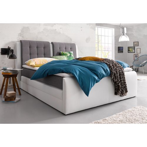 Boxspringbett COLLECTION AB 