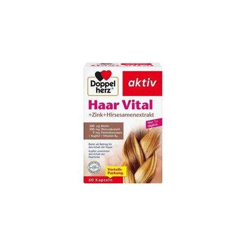 Doppelherz Haar Vital+zink+hirseextrakt Kapseln