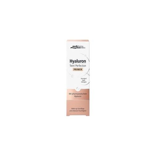 Hyaluron Teint Perfection Primer