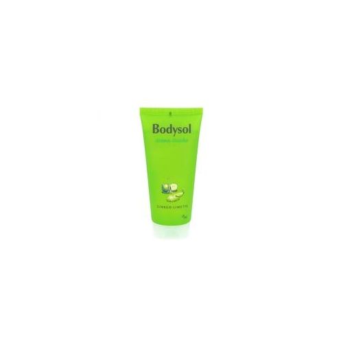 Bodysol Aroma Duschgel Ginkgo Limette