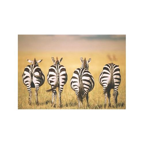 Ravensburger Zebra