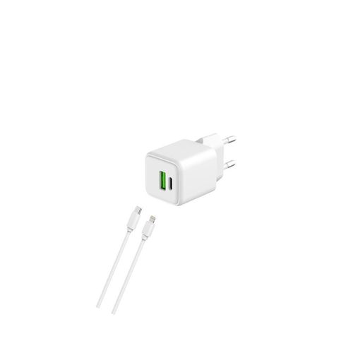 Kabel und Wandgesteck (USB-C + Lightning) 20W - WTK