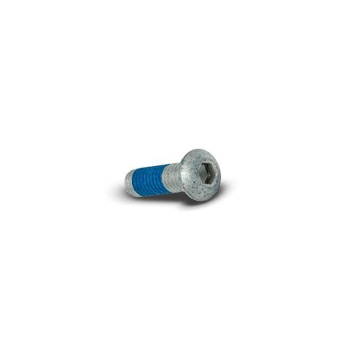 DELPHI Schraube, Bremsscheibe BGK008 007991008041