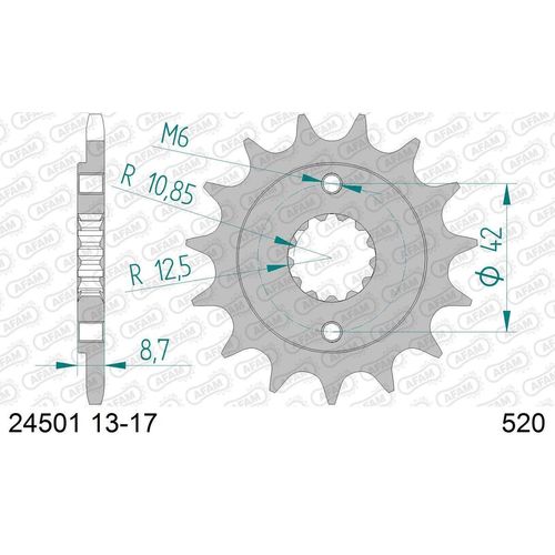 AFAM Kettenritzel 24501-16