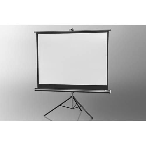 Celexon Stativ Economy 1090021 Stativleinwand 244 x 183 cm Bildformat: 4:3