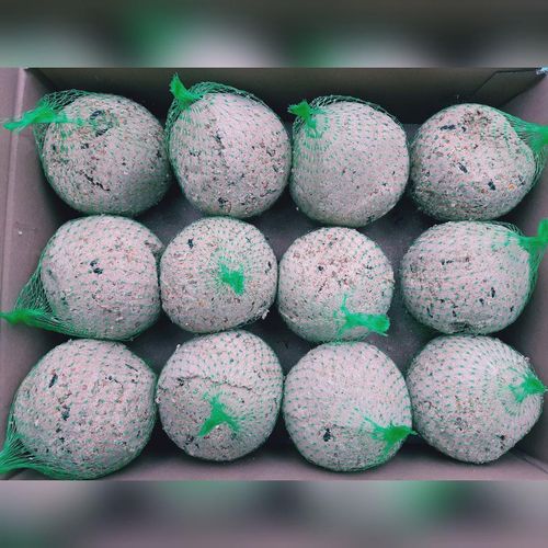 Vogelpick Riesenmeisenknödel 12 x 500g Vogelfutter Wintervogelfutter