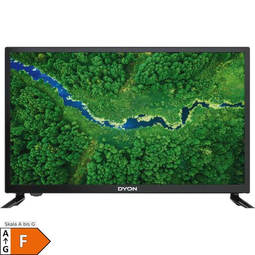 DYON LED-Fernseher ENTER 24 PRO X2