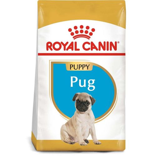 ROYAL CANIN Pug Puppy Welpenfutter trocken für Mops 2x1,5kg