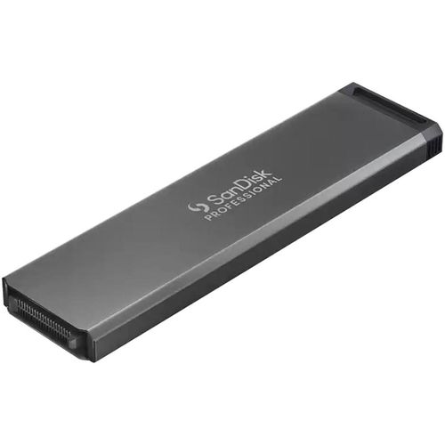 SANDISK SSD-Festplatte 