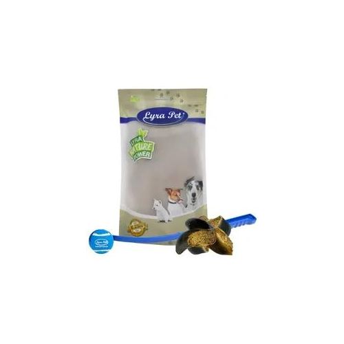 15 Stk. Lyra Pet® Rinderhufe gefüllt mit Pansen und Leber ca. 1,8 kg + Ballschleuder