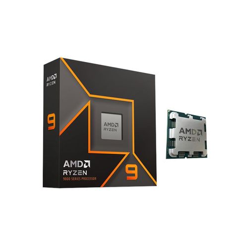 AMD Ryzen 9 9900X CPU - 12 Kerne - 4.4 GHz - AMD AM5 - AMD Boxed (ohne Kühler)