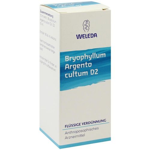 Bryophyllum Arg Cul D 2 50 ML