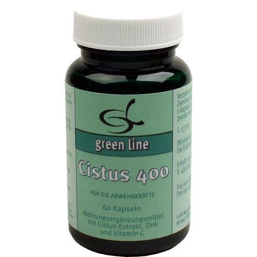 Cistus 400 60 ST