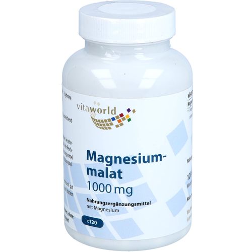 Magnesiummalat 1000 mg 120 ST