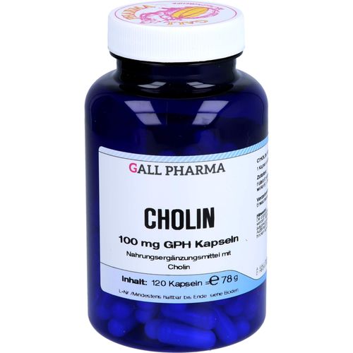 Cholin 100mg Gph 120 ST