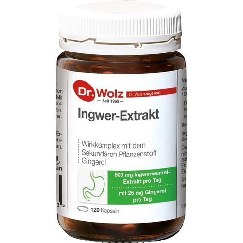 Ingwer-Extrakt Dr.wolz 120 ST