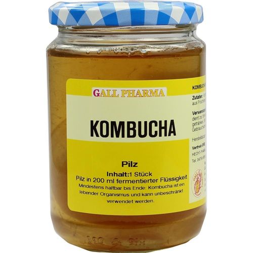 Kombucha Teepilz 1 ST