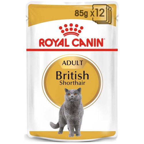 ROYAL CANIN British Shorthair Adult Katzenfutter nass für Britisch Kurzhaar 48x85g