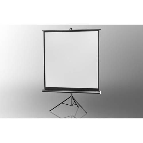 Celexon Stativ Economy 1090018 Stativleinwand 244 x 244 cm Bildformat: 1:1